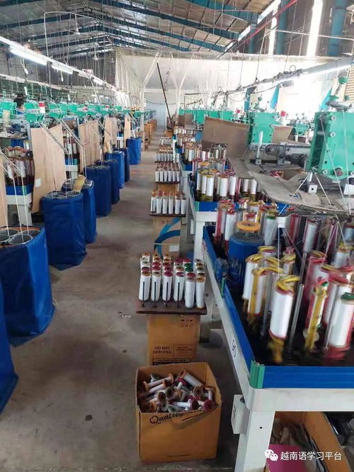 越南平陽(yáng)省服裝輔料工廠 專業(yè)生產(chǎn)針織松緊帶 鞋帶 提花帶等產(chǎn)品