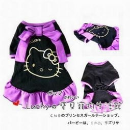 引領(lǐng)寵物時尚，打造溫馨生活 Dog Society 的寵物服飾與用品王國